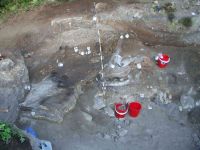 Cronica Cercetărilor Arheologice din România, Campania 2005. Raportul nr. 137