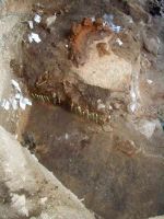 Cronica Cercetărilor Arheologice din România, Campania 2005. Raportul nr. 137