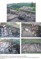 Cronica Cercetărilor Arheologice din România, Campania 2005. Raportul nr. 141