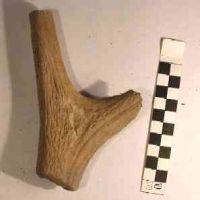 Cronica Cercetărilor Arheologice din România, Campania 2005. Raportul nr. 148