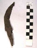 Cronica Cercetărilor Arheologice din România, Campania 2005. Raportul nr. 148
