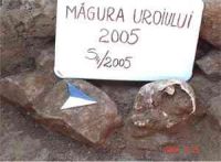 Cronica Cercetărilor Arheologice din România, Campania 2005. Raportul nr. 149