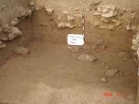 Cronica Cercetărilor Arheologice din România, Campania 2005. Raportul nr. 149