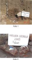 Cronica Cercetărilor Arheologice din România, Campania 2005. Raportul nr. 149