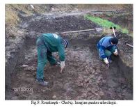 Cronica Cercetărilor Arheologice din România, Campania 2005. Raportul nr. 155
