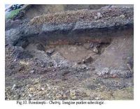 Cronica Cercetărilor Arheologice din România, Campania 2005. Raportul nr. 155