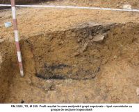 Cronica Cercetărilor Arheologice din România, Campania 2005. Raportul nr. 158