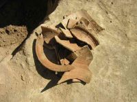 Cronica Cercetărilor Arheologice din România, Campania 2005. Raportul nr. 159