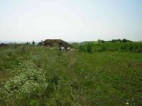 Cronica Cercetărilor Arheologice din România, Campania 2005. Raportul nr. 159