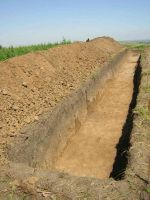 Cronica Cercetărilor Arheologice din România, Campania 2005. Raportul nr. 159