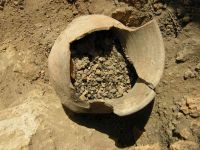 Cronica Cercetărilor Arheologice din România, Campania 2005. Raportul nr. 159