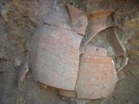 Cronica Cercetărilor Arheologice din România, Campania 2005. Raportul nr. 159