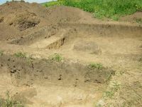 Cronica Cercetărilor Arheologice din România, Campania 2005. Raportul nr. 159