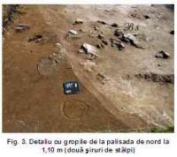 Cronica Cercetărilor Arheologice din România, Campania 2005. Raportul nr. 161