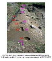 Cronica Cercetărilor Arheologice din România, Campania 2005. Raportul nr. 161