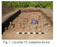 Cronica Cercetărilor Arheologice din România, Campania 2005. Raportul nr. 169
