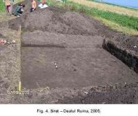 Cronica Cercetărilor Arheologice din România, Campania 2005. Raportul nr. 179