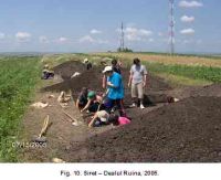 Cronica Cercetărilor Arheologice din România, Campania 2005. Raportul nr. 179