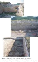 Cronica Cercetărilor Arheologice din România, Campania 2005. Raportul nr. 180