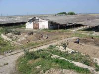 Cronica Cercetărilor Arheologice din România, Campania 2005. Raportul nr. 184