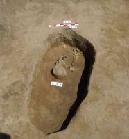 Cronica Cercetărilor Arheologice din România, Campania 2005. Raportul nr. 184