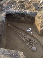Cronica Cercetărilor Arheologice din România, Campania 2005. Raportul nr. 184