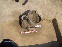 Cronica Cercetărilor Arheologice din România, Campania 2005. Raportul nr. 184
