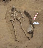 Cronica Cercetărilor Arheologice din România, Campania 2005. Raportul nr. 184