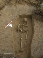 Cronica Cercetărilor Arheologice din România, Campania 2005. Raportul nr. 184