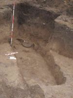 Cronica Cercetărilor Arheologice din România, Campania 2005. Raportul nr. 184