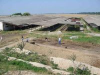 Cronica Cercetărilor Arheologice din România, Campania 2005. Raportul nr. 184
