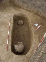 Cronica Cercetărilor Arheologice din România, Campania 2005. Raportul nr. 184