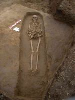 Cronica Cercetărilor Arheologice din România, Campania 2005. Raportul nr. 184