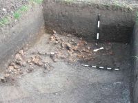 Cronica Cercetărilor Arheologice din România, Campania 2005. Raportul nr. 193