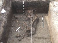 Cronica Cercetărilor Arheologice din România, Campania 2005. Raportul nr. 193