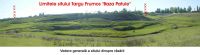 Cronica Cercetărilor Arheologice din România, Campania 2005. Raportul nr. 196