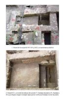 Cronica Cercetărilor Arheologice din România, Campania 2005. Raportul nr. 197