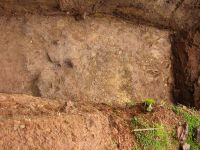 Cronica Cercetărilor Arheologice din România, Campania 2005. Raportul nr. 199