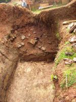 Cronica Cercetărilor Arheologice din România, Campania 2005. Raportul nr. 199