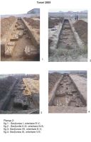 Cronica Cercetărilor Arheologice din România, Campania 2005. Raportul nr. 201