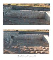 Cronica Cercetărilor Arheologice din România, Campania 2005. Raportul nr. 202