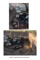 Cronica Cercetărilor Arheologice din România, Campania 2005. Raportul nr. 202
