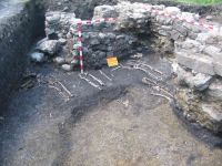 Cronica Cercetărilor Arheologice din România, Campania 2005. Raportul nr. 205