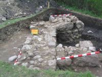 Cronica Cercetărilor Arheologice din România, Campania 2005. Raportul nr. 205