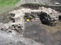 Cronica Cercetărilor Arheologice din România, Campania 2005. Raportul nr. 205