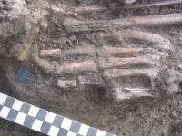 Cronica Cercetărilor Arheologice din România, Campania 2005. Raportul nr. 207