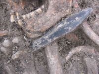 Cronica Cercetărilor Arheologice din România, Campania 2005. Raportul nr. 207
