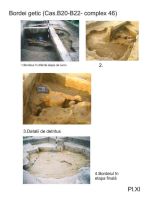 Cronica Cercetărilor Arheologice din România, Campania 2005. Raportul nr. 217