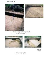 Cronica Cercetărilor Arheologice din România, Campania 2005. Raportul nr. 217
