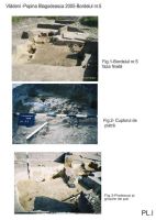Cronica Cercetărilor Arheologice din România, Campania 2005. Raportul nr. 217